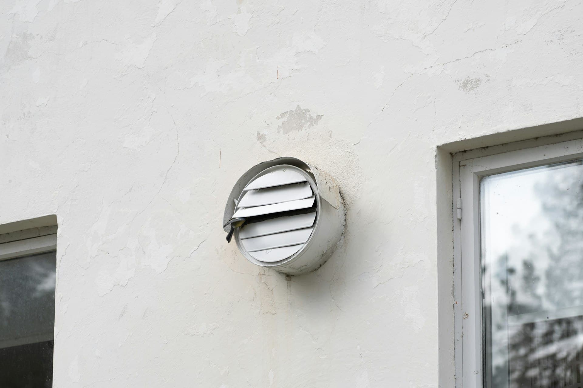 Exterior dryer vent on a home