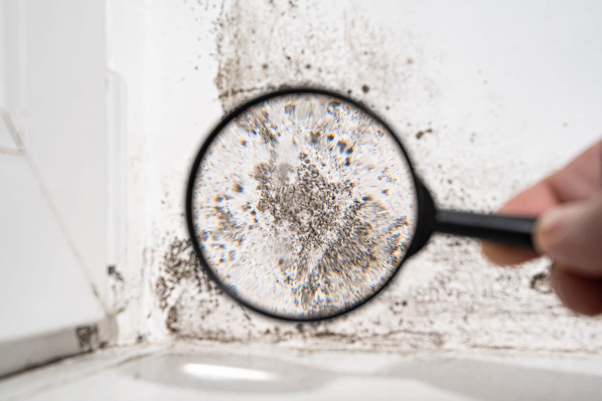 Technician in protective equipment during professional mold remediation